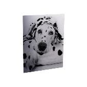 Chromaluxe 8"x10" Matte Clear Aluminum Photo Panel - Unisub