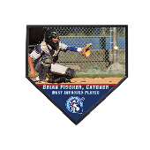 Home Plate Baseball Plaque - Ext 10"x10" Int 9.75"x9.75"  - Unisub